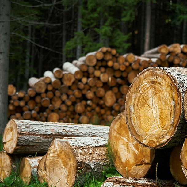 Пиломатеріали <br> Слов'янськ