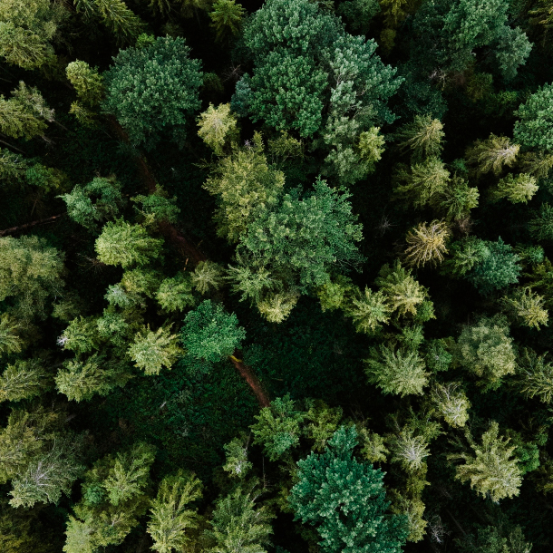 Ми доставимо <br> у будь-яку точку регіону